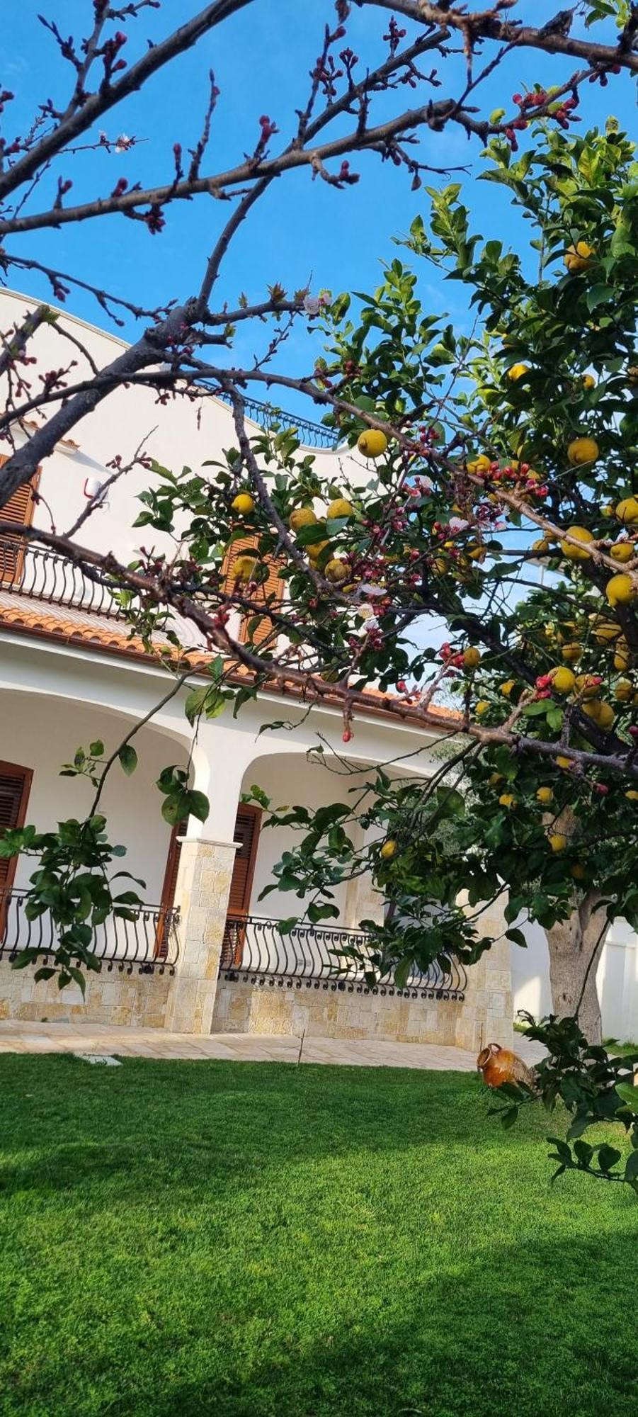 Villa Guajira Bari Exteriér fotografie