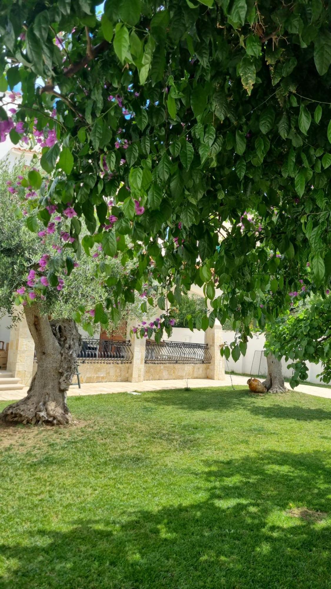 Villa Guajira Bari Exteriér fotografie