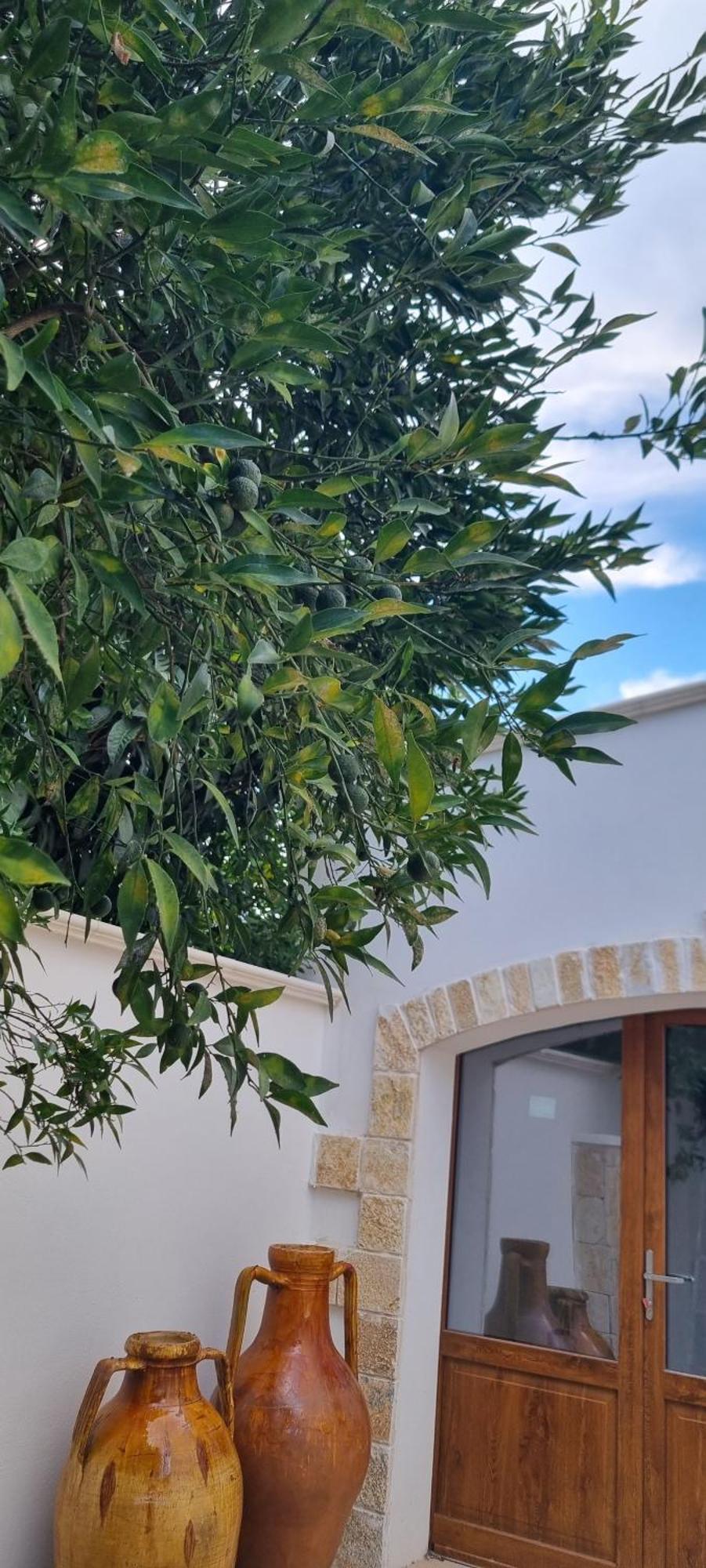 Villa Guajira Bari Exteriér fotografie