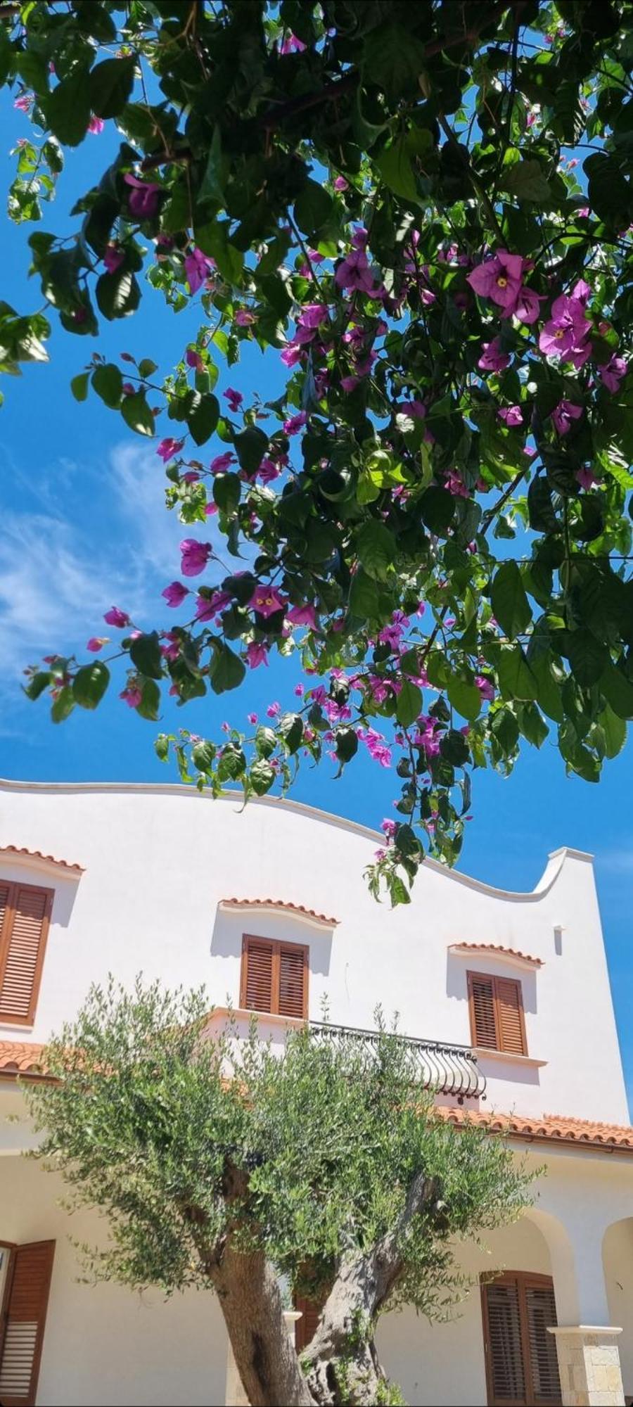Villa Guajira Bari Exteriér fotografie